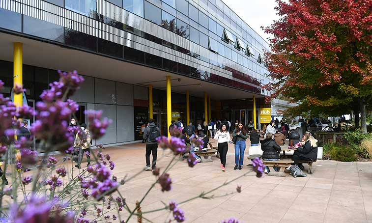 Student hub 